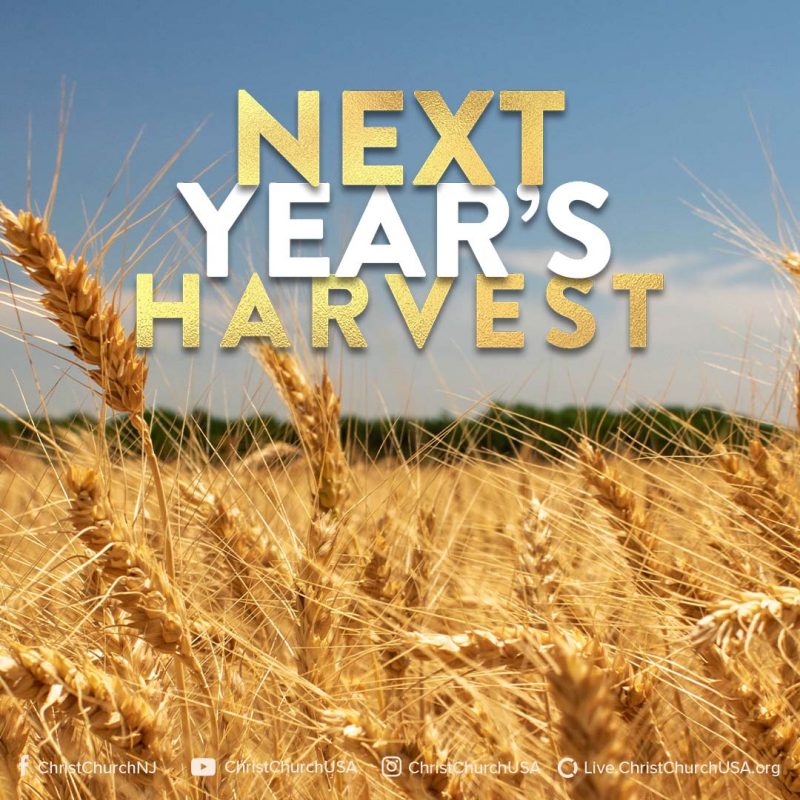 NextYearsHarvest-ST NextYearsHarvest-ST